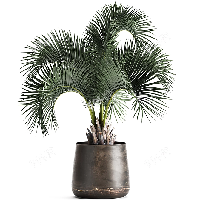 Exotic Metal Pot Plant Collection 3D model image 6