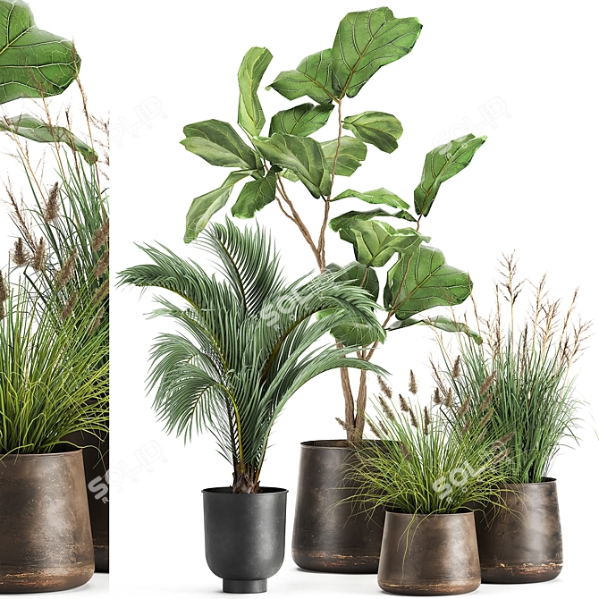 Tropical Plant Collection in Stylish Pots 3D model image 1