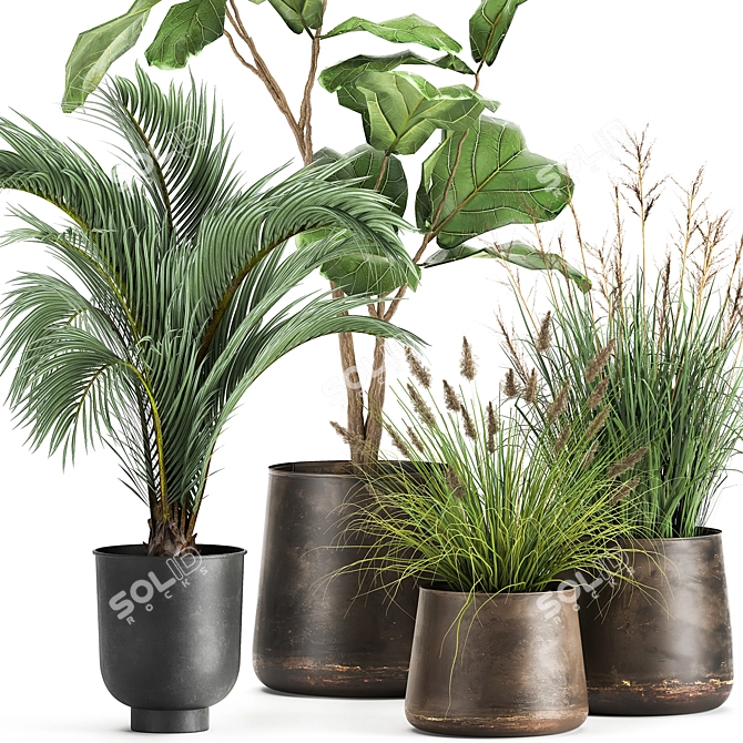 Tropical Plant Collection in Stylish Pots 3D model image 2