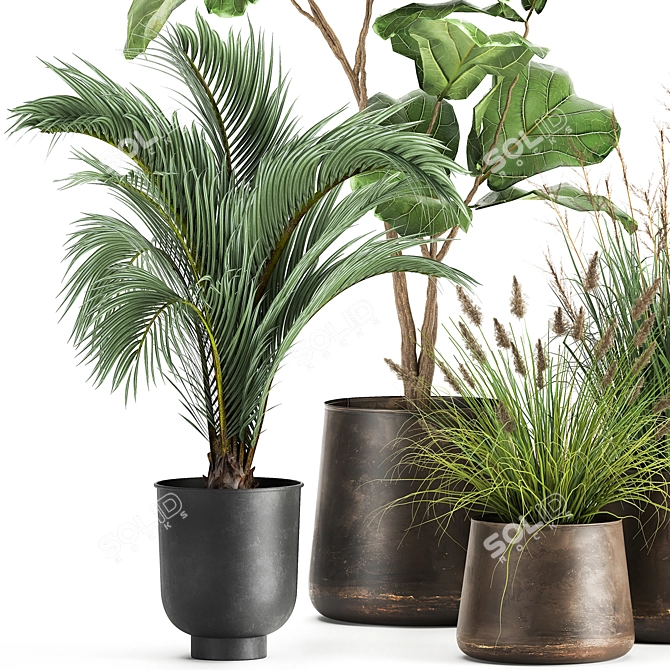 Tropical Plant Collection in Stylish Pots 3D model image 3