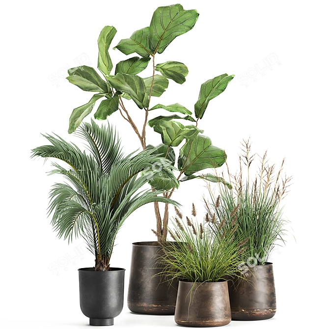 Tropical Plant Collection in Stylish Pots 3D model image 6