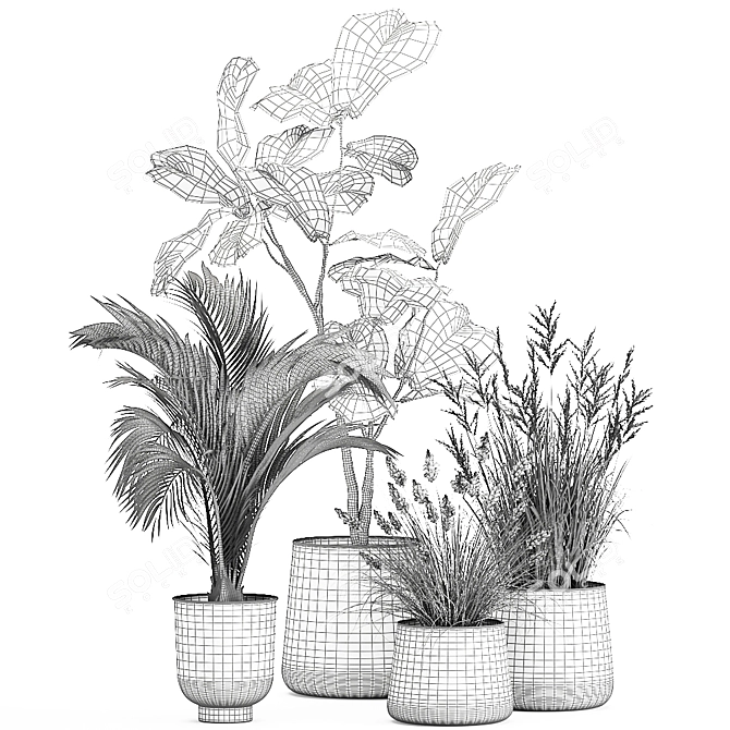 Tropical Plant Collection in Stylish Pots 3D model image 7