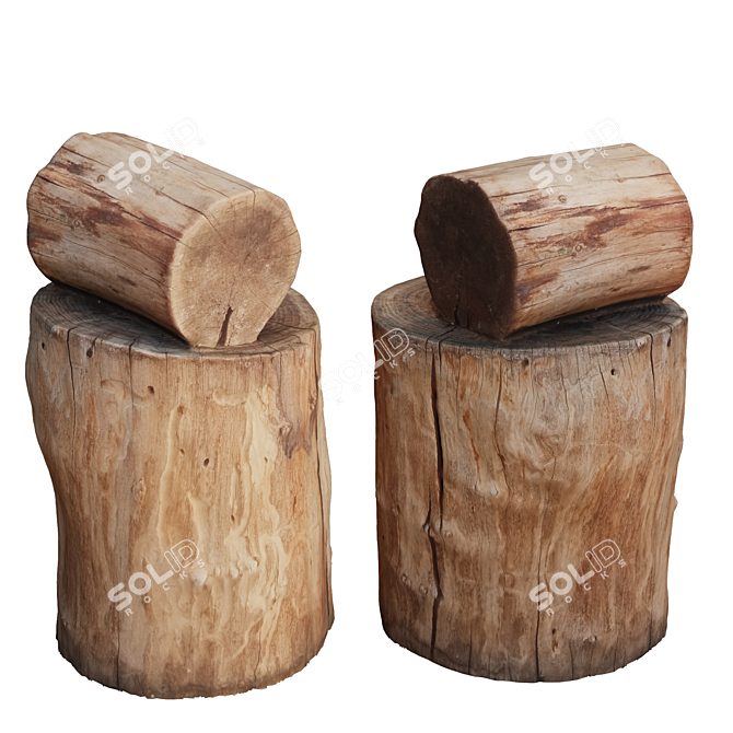 Natural Wood Tree Trunk Sculpture 3D model image 1