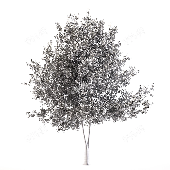 Giant Linden Tree Sculpture 3D model image 4