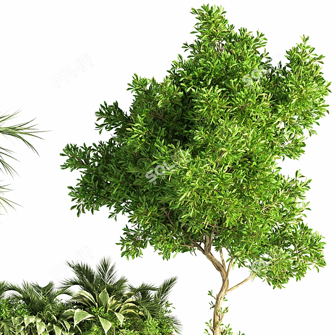 Green Oasis Indoor Plant Set 3D model image 5