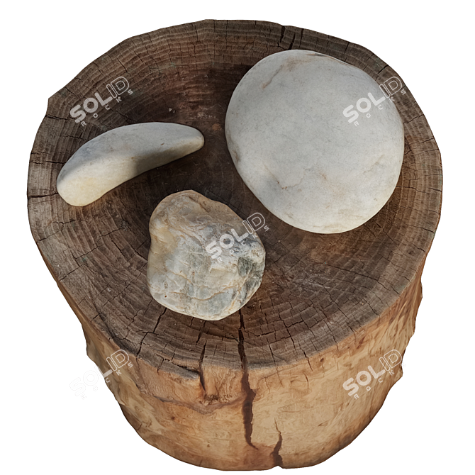 Natural Trunk Stone: Unwrap | 22 Polygon | 3dsmax2015-FBX-Obj 3D model image 2
