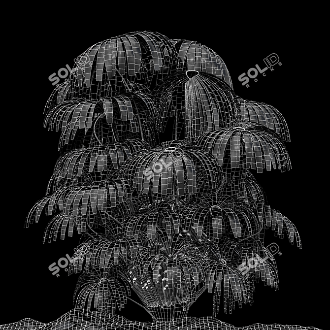 Matonia Pectinata: Elegant Fern Collection 3D model image 5