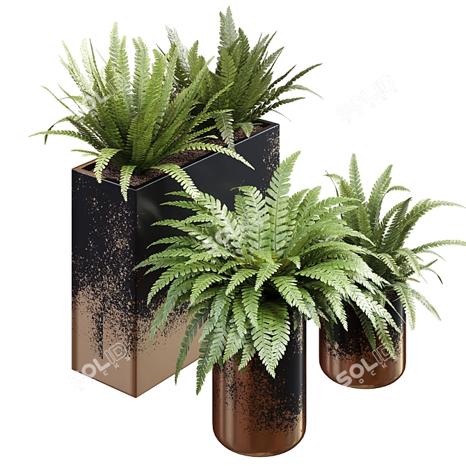 Green Oasis: Unwrapped Fern Plant Collection 3D model image 2