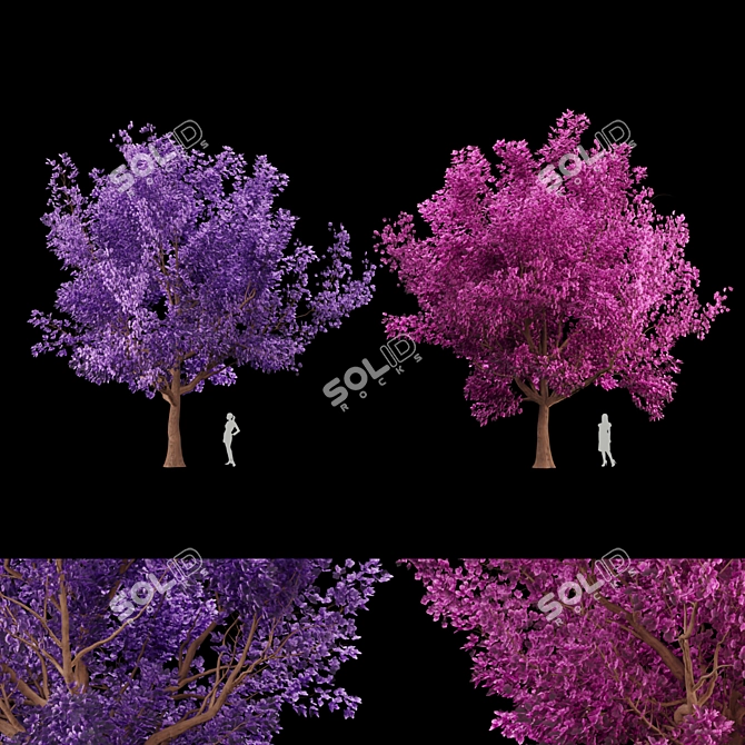 Blossoming Beauty: Cherry Tree Paradise 3D model image 1