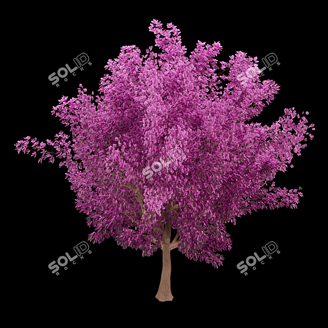 Blossoming Beauty: Cherry Tree Paradise 3D model image 2