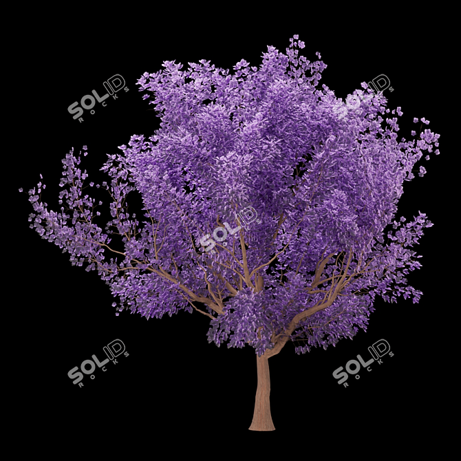 Blossoming Beauty: Cherry Tree Paradise 3D model image 3