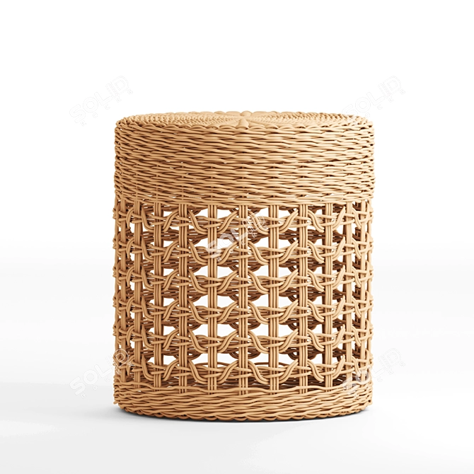Modern Basket 2014: Versatile and Stylish 3D model image 2