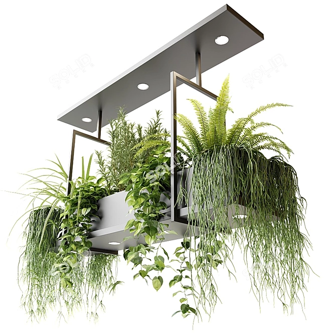 Suspended Greenery: Oslo Pendant 3D model image 3