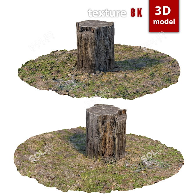 Detailed 3D Stump Model 3D model image 1