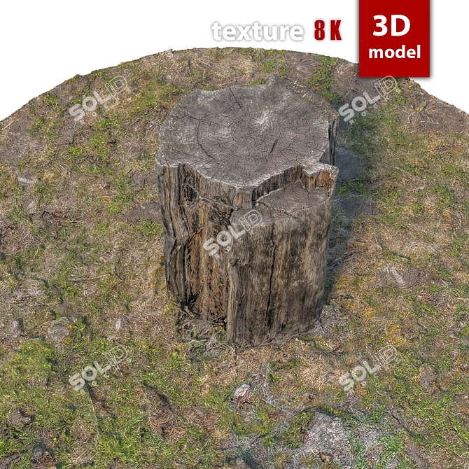 Detailed 3D Stump Model 3D model image 4