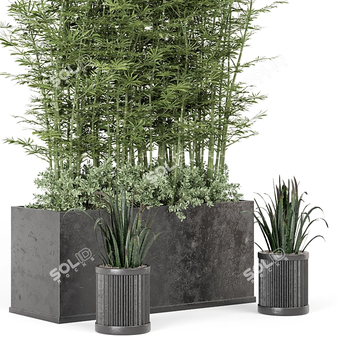 Rusty Concrete Pot: Outdoor Bamboo Plants 3D model image 4
