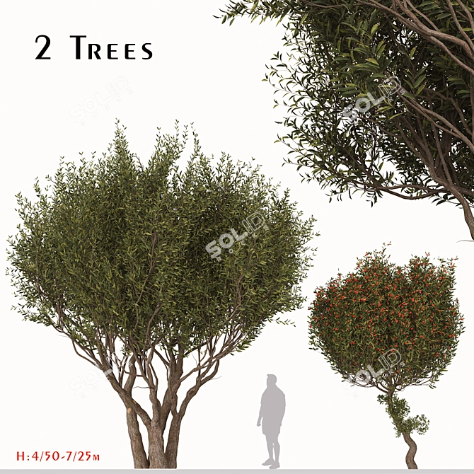 Evergreen Arbutus unedo Tree Set 3D model image 1