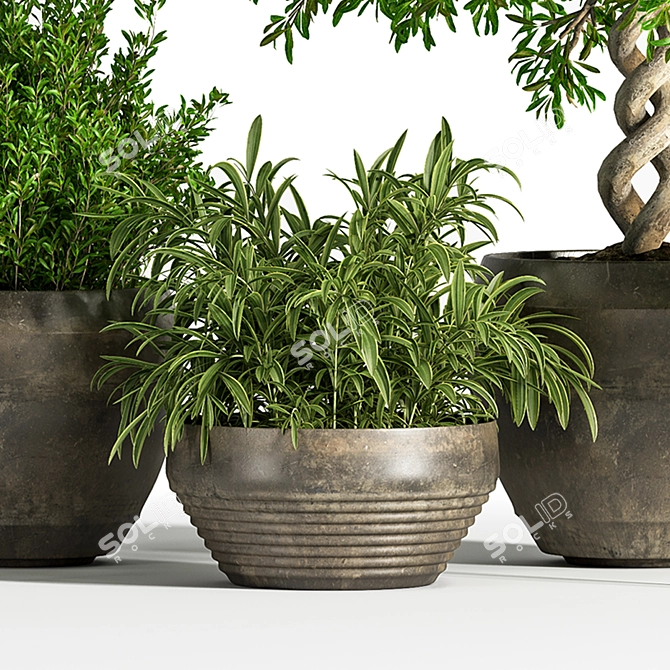 Indoor Greenery Set: Stylish & Lush 3D model image 6