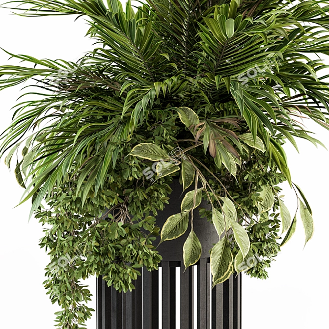 Tropical Oasis: Palm Indoor Plant 3D model image 4