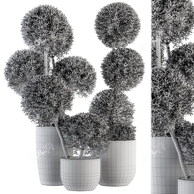 Elegant Topiary Ball Plant Set 3D model image 4