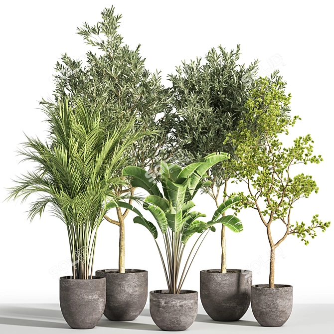 Succulent Indoor Plant Set 35 3D model image 1