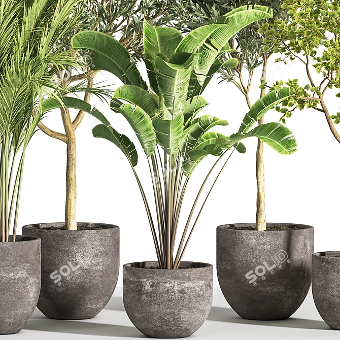 Succulent Indoor Plant Set 35 3D model image 2