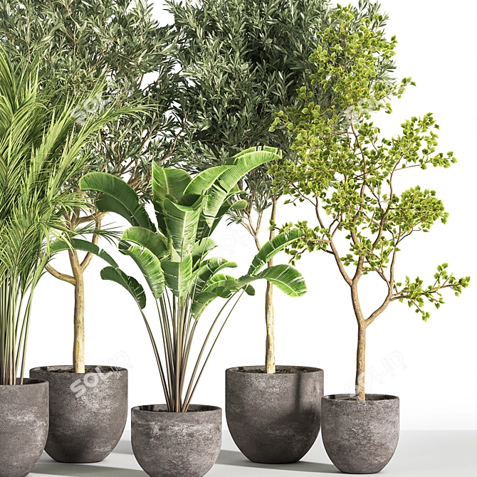 Succulent Indoor Plant Set 35 3D model image 4