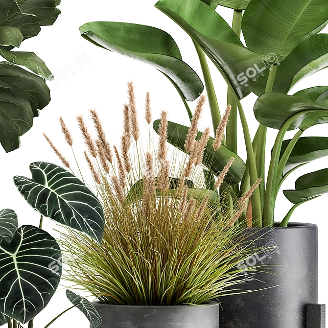 Exotic Plant Collection: Tropical Foliage in Black Pots & Vases 3D model image 3