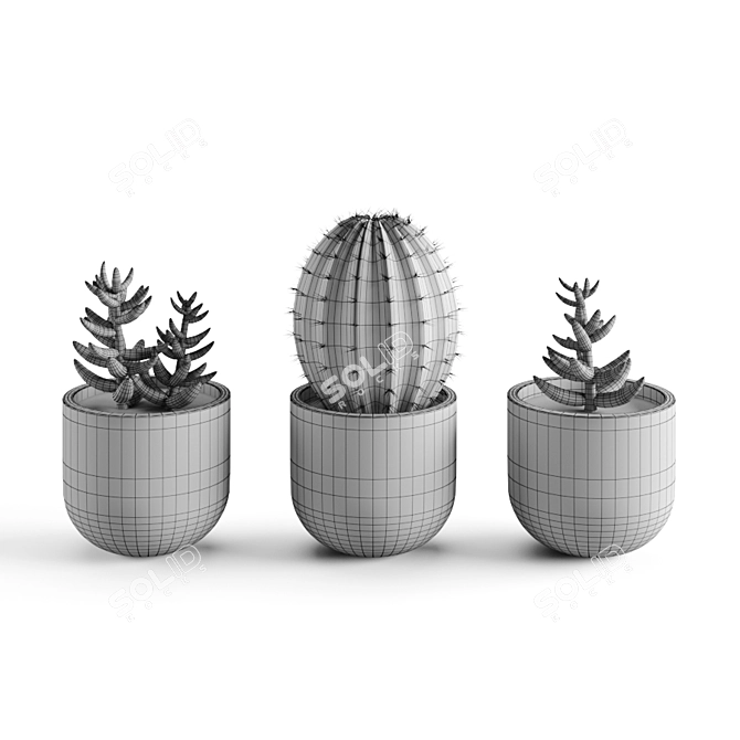 Title: Succulent Oasis Collection 3D model image 2