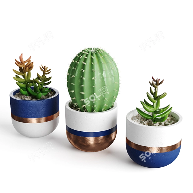 Title: Succulent Oasis Collection 3D model image 3