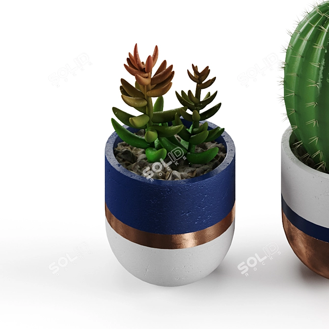 Title: Succulent Oasis Collection 3D model image 4