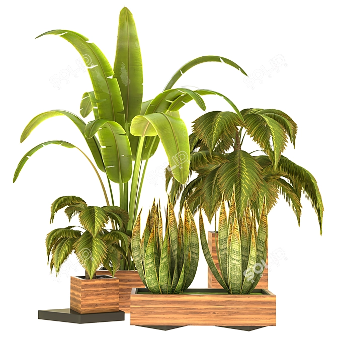 Lush Indoor Greenery - VOL4 3D model image 1