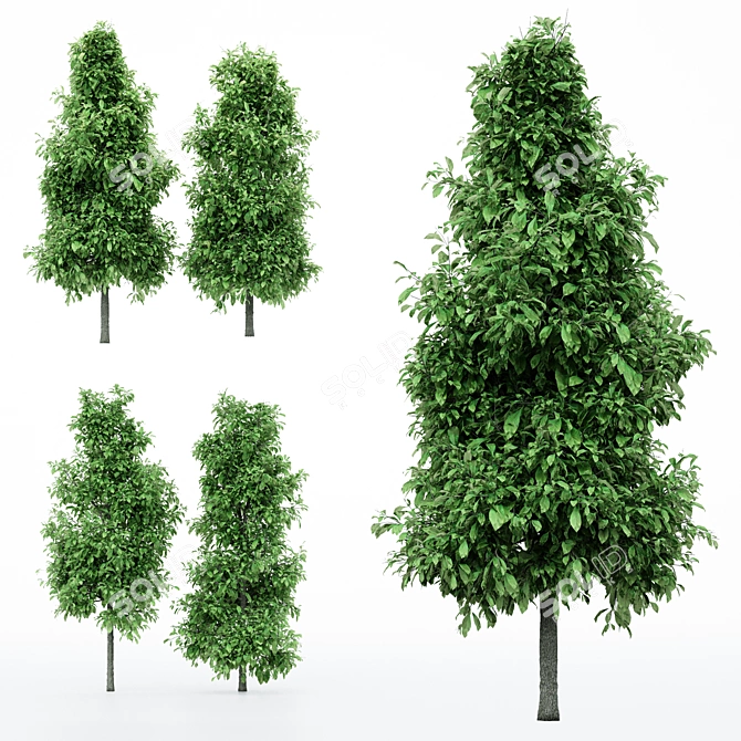 Title: Spring Blossom: 5 Tree Varieties 3D model image 1