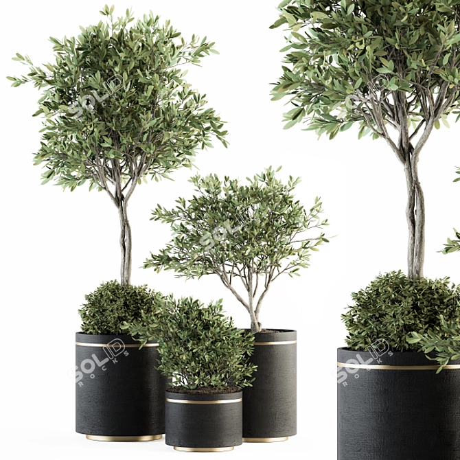Olive Pot Set 239: Stylish Indoor Plants 3D model image 1