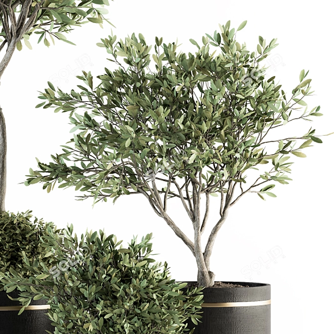 Olive Pot Set 239: Stylish Indoor Plants 3D model image 2
