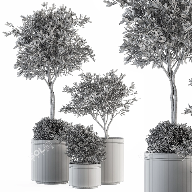 Olive Pot Set 239: Stylish Indoor Plants 3D model image 4