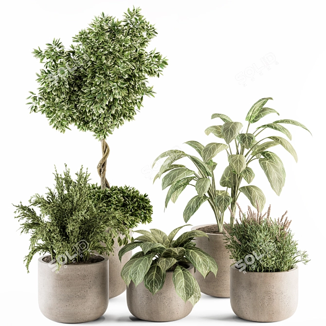 Vibrant Indoor Plant Set 3D model image 1