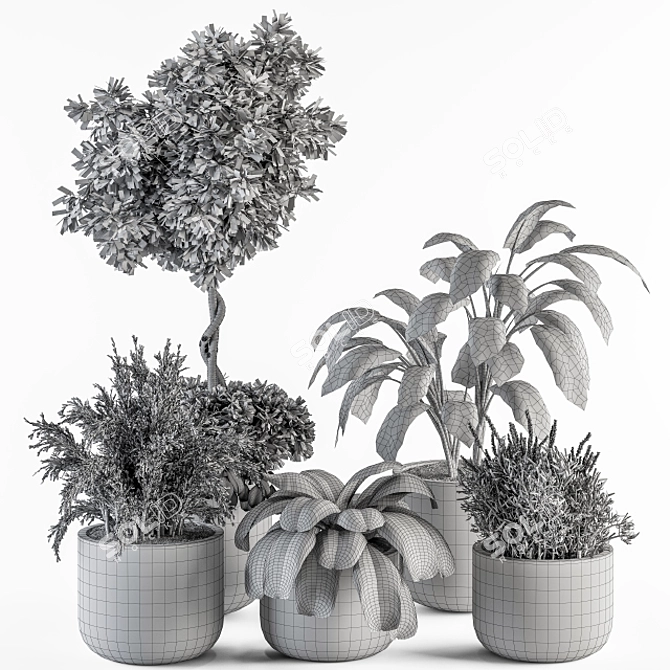 Vibrant Indoor Plant Set 3D model image 6