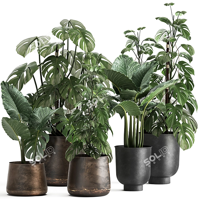 Title: Exotic Plant Collection in Artisan Iron Pots 3D model image 1