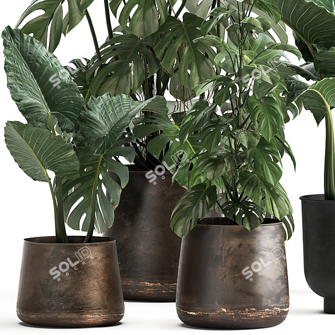 Title: Exotic Plant Collection in Artisan Iron Pots 3D model image 2