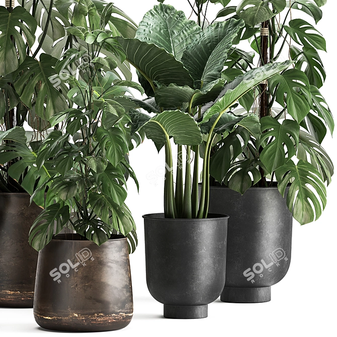 Title: Exotic Plant Collection in Artisan Iron Pots 3D model image 3