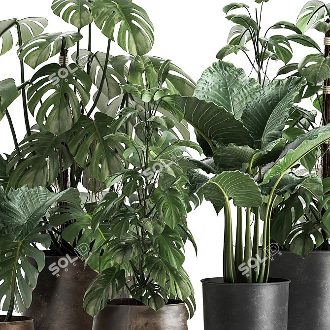 Title: Exotic Plant Collection in Artisan Iron Pots 3D model image 4