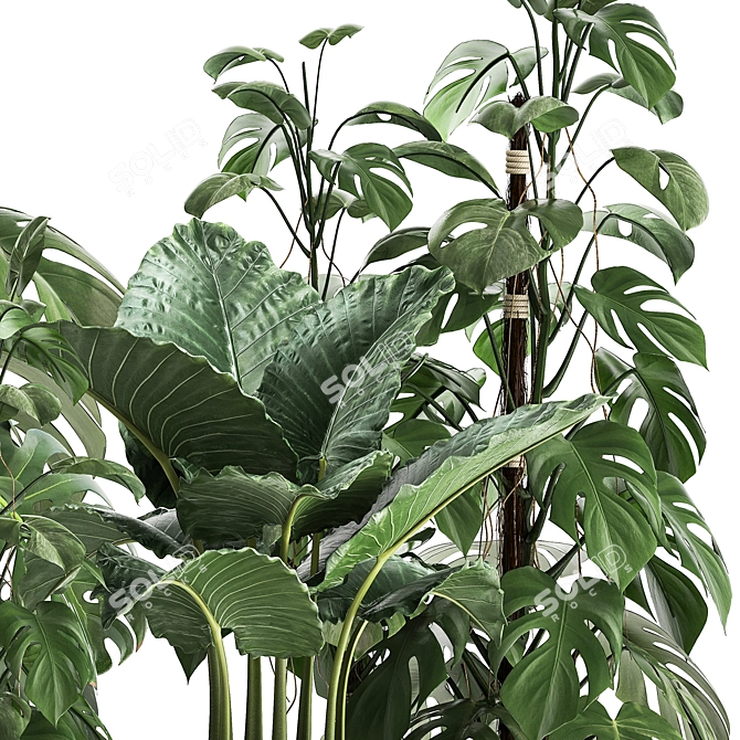 Title: Exotic Plant Collection in Artisan Iron Pots 3D model image 5