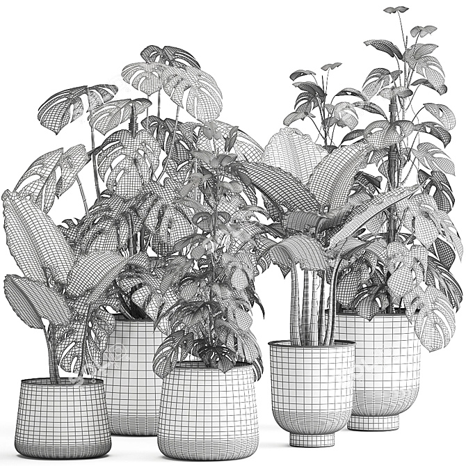 Title: Exotic Plant Collection in Artisan Iron Pots 3D model image 6
