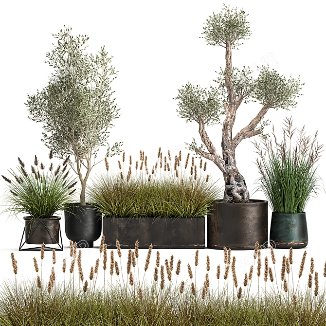 Exotic Plant Collection: Indoor & Outdoor Beauties! 3D model image 1