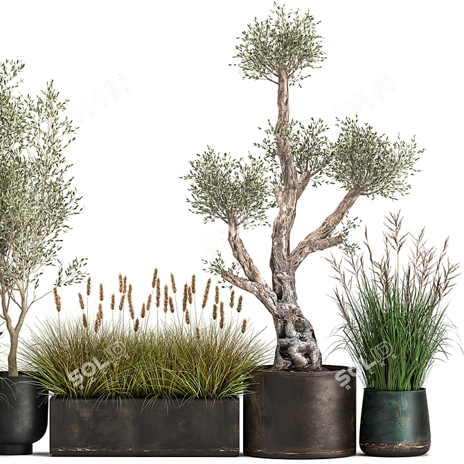 Exotic Plant Collection: Indoor & Outdoor Beauties! 3D model image 3