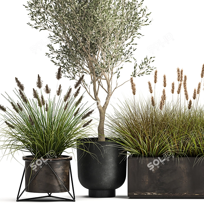 Exotic Plant Collection: Indoor & Outdoor Beauties! 3D model image 4