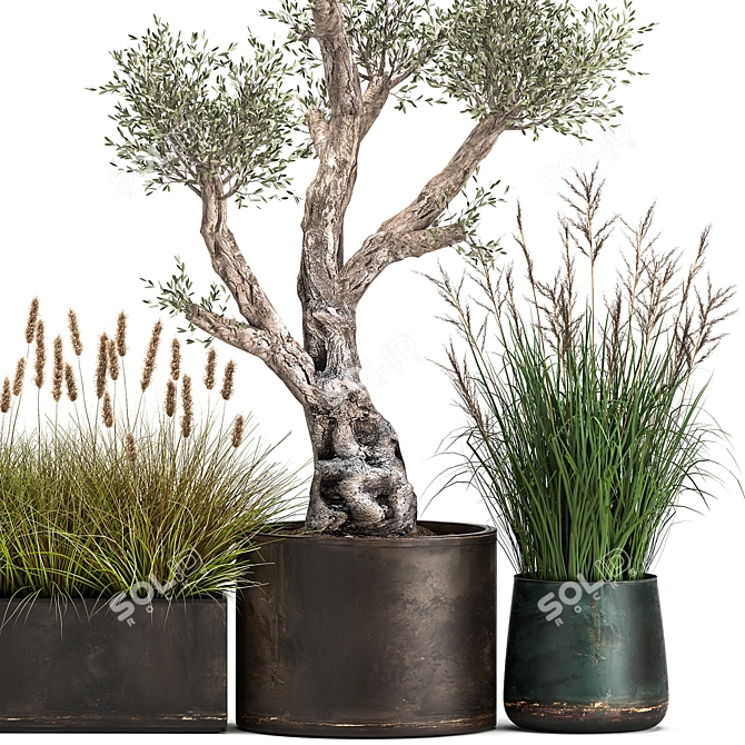 Exotic Plant Collection: Indoor & Outdoor Beauties! 3D model image 5