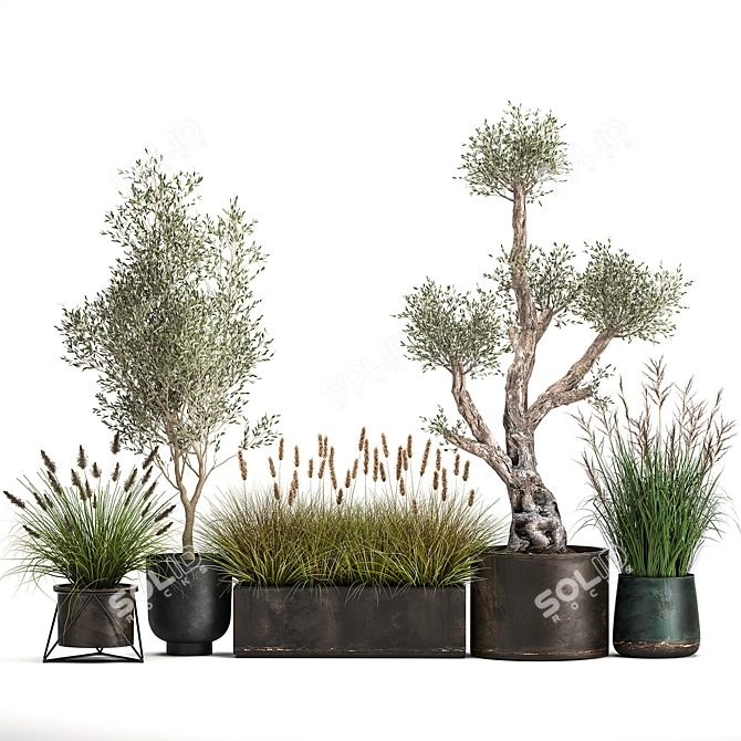 Exotic Plant Collection: Indoor & Outdoor Beauties! 3D model image 6