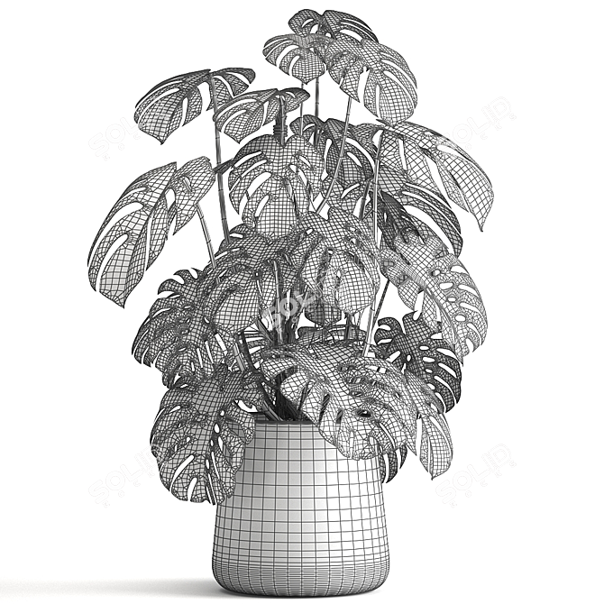 Tropical Treasures: 1001 Plant Collection 3D model image 6